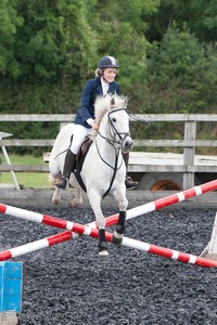 Class 3 -  Fences not above 2'3